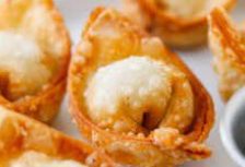 Asian Fried Wonton